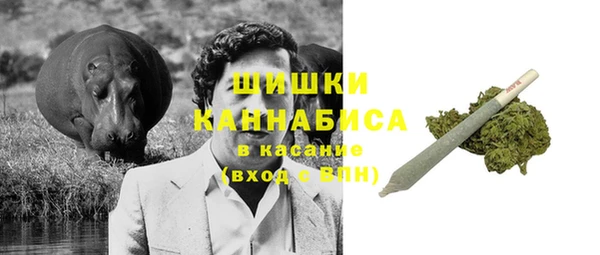 хмурый Богородск