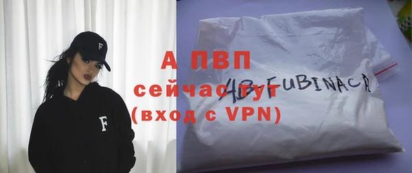 гашиш Богданович