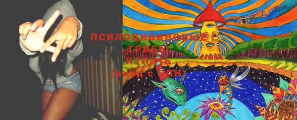гашиш Богданович